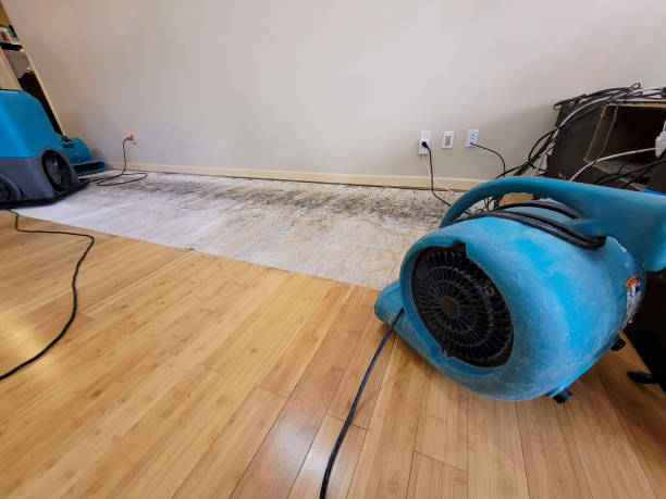 Professional Burst Pipe Water Damage technician working in Waukau, WI
